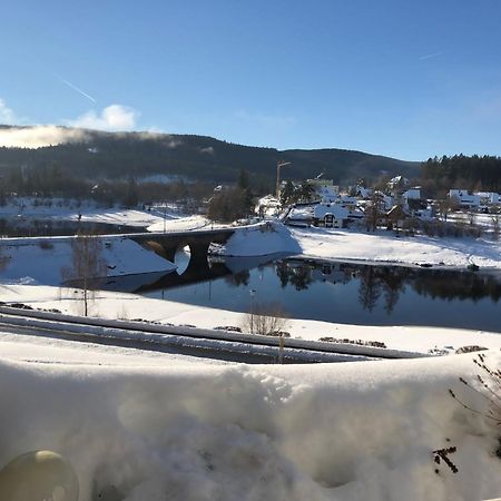 Apartment Blackforest-Schluchsee Dış mekan fotoğraf