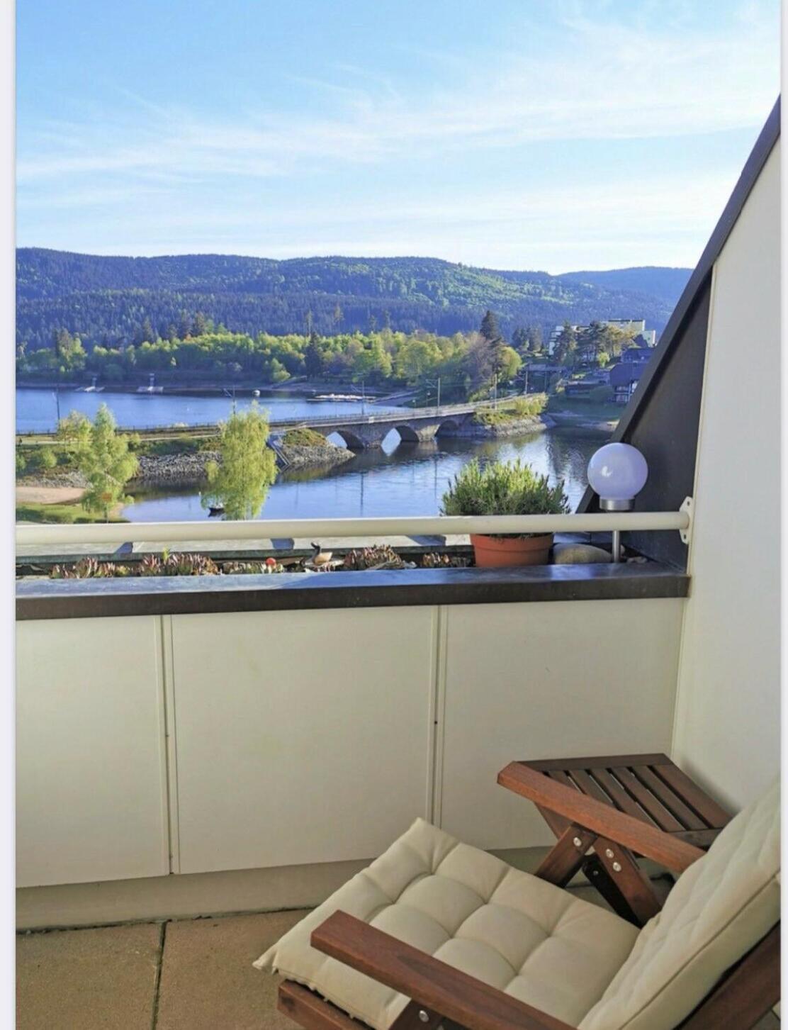 Apartment Blackforest-Schluchsee Dış mekan fotoğraf